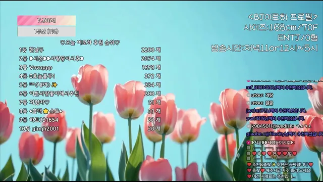 图片[4] - [Korean BJ] hfpw4i19 2025-08-22 - KBJFan