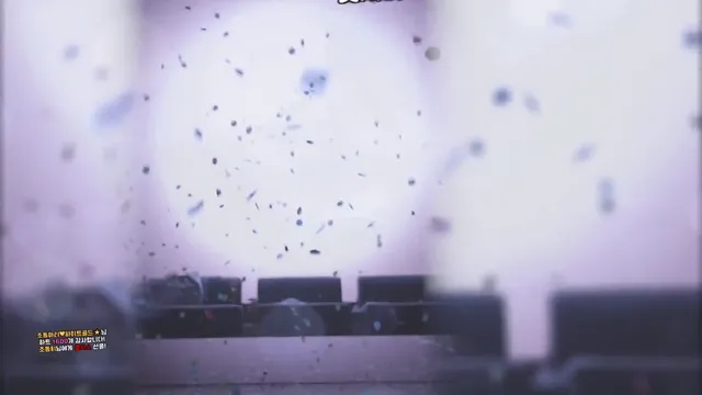 图片[44] - [Korean BJ] pandaclass 2026-02-28 - KBJFan