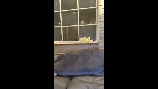 图片[1] - [Korean BJ] leeaeae123 2025-07-27 - KBJFan