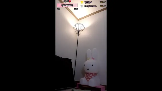 图片[3] - [Korean BJ] rarayo 2025-04-08 - KBJFan