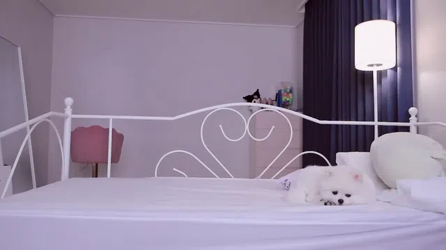 图片[7] - [Korean BJ] giyoming 2024-04-11 - KBJFan