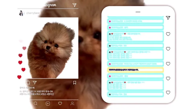 图片[4] - [Korean BJ] cherrybest 2025-11-21 - KBJFan