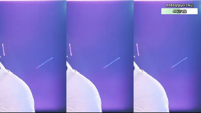 [Korean BJ] nanaringhi 2025-06-28