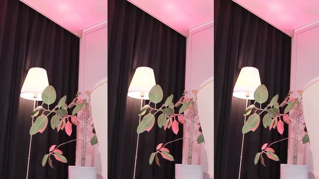 图片[2] - [Korean BJ] znvely00 2025-07-14 - KBJFan