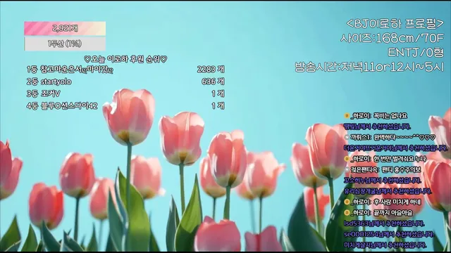 图片[2] - [Korean BJ] hfpw4i19 2025-07-29 - KBJFan