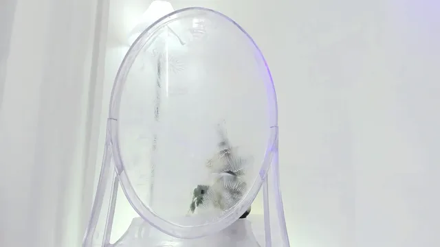 图片[5] - [Korean BJ] ohhanna 2025-05-29 - KBJFan