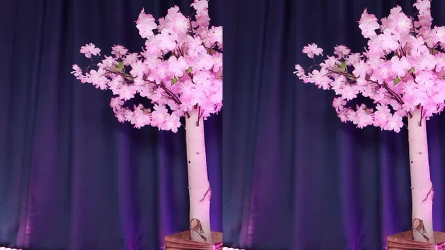 图片[7] - [Korean BJ] yuhwac 2025-09-21 - KBJFan