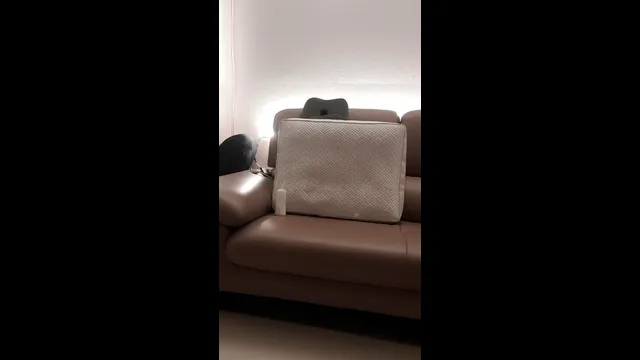 图片[4] - [Korean BJ] njnj98 2025-08-06 - KBJFan