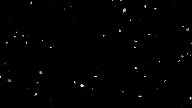 图片[2] - [Korean BJ] joahe2 2025-10-23 - KBJFan