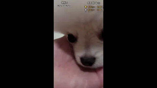 图片[7] - [Korean BJ] giyoming 2023-11-01 - KBJFan