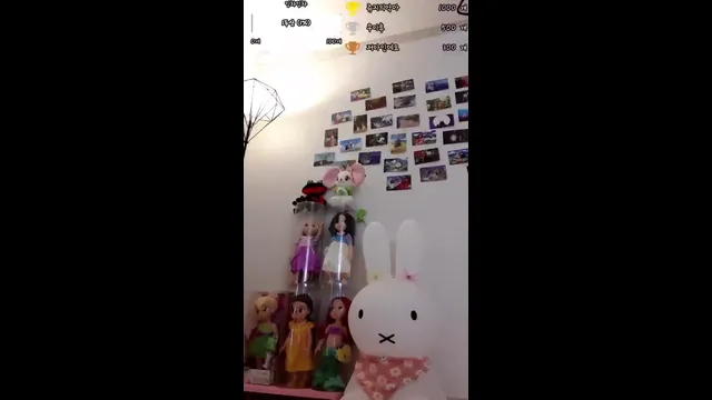 图片[1] - [Korean BJ] rarayang 2025-06-08 - KBJFan