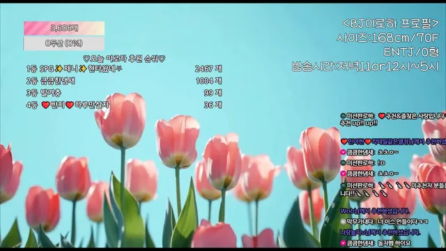 [Korean BJ] hfpw4i19 2025-07-17 - KBJFan