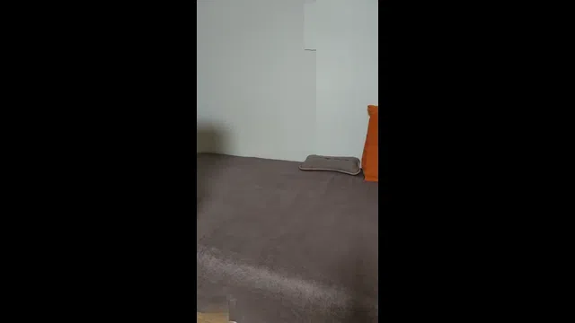 图片[7] - [Korean BJ] ujjm1004 2023-10-10 - KBJFan