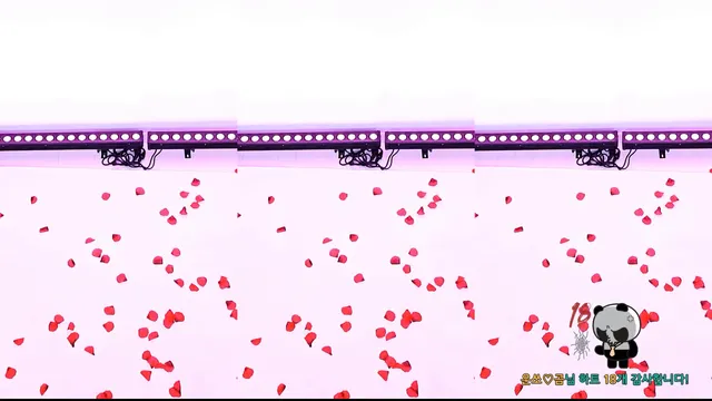 图片[12] - [Korean BJ] yso1004 2025-08-15 - KBJFan