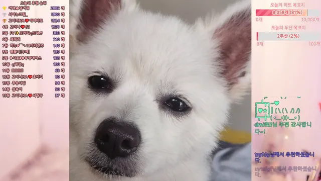 图片[1] - [Korean BJ] qkeksms3 2025-06-12 - KBJFan