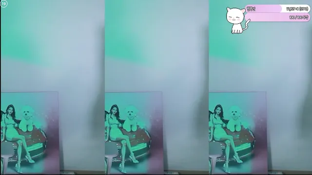 图片[6] - [Korean BJ] gpgpgpgpgpgp 2025-11-16 - KBJFan