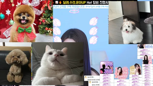 图片[2] - [Korean BJ] jssisabel 2025-03-26