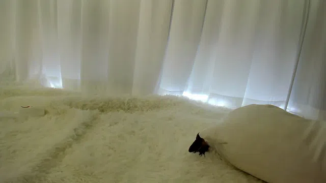 图片[7] - [Korean BJ] rico0210 2026-01-26 - KBJFan