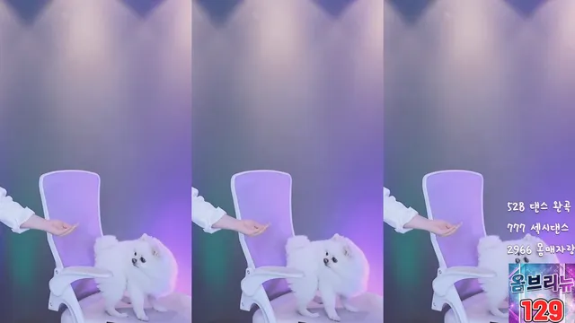 图片[2] - [Korean BJ] csp1208 2025-03-13 - KBJFan