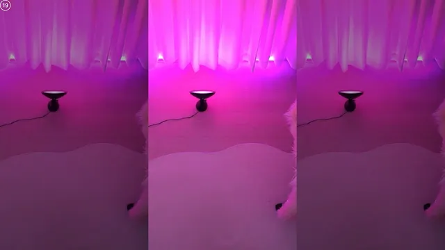 [Korean BJ] daphnerin 2025-05-23