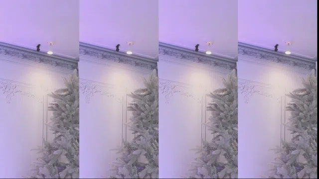 图片[7] - [Korean BJ] muse62 2024-12-31 - KBJFan