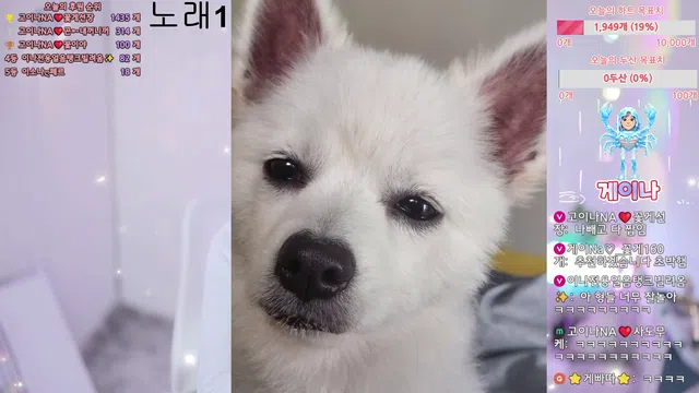 图片[7] - [Korean BJ] qkeksms3 2025-09-06 - KBJFan