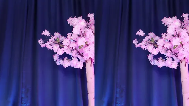 图片[6] - [Korean BJ] yuhwac 2025-09-27 - KBJFan