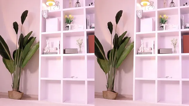 图片[1] - [Korean BJ] pupple0206 2025-07-31 - KBJFan