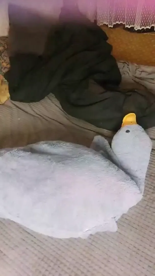 图片[11] - [Korean BJ] starsh2802 2024-09-22 - KBJFan