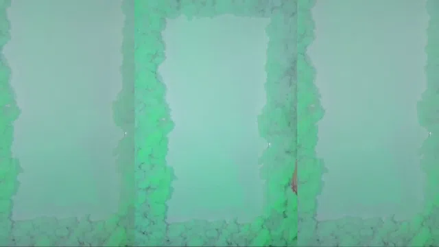 图片[7] - [Korean BJ] ksb0219 2024-08-30 - KBJFan