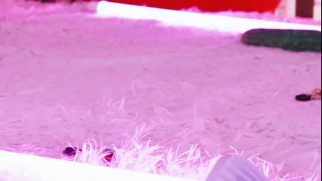 图片[5] - [Korean BJ] heenoo 2025-12-03 - KBJFan