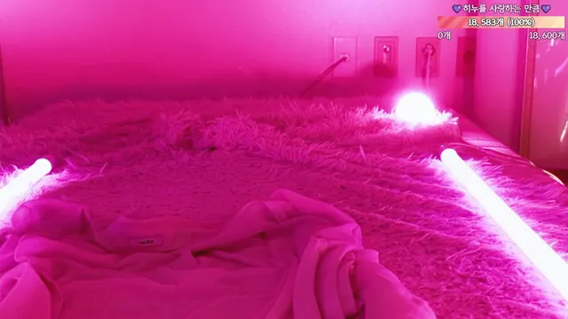 图片[2] - [Korean BJ] heenoo 2026-01-28 - KBJFan