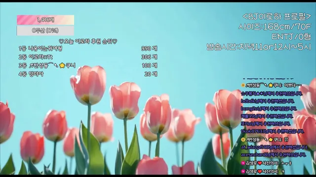 图片[1] - [Korean BJ] hfpw4i19 2025-07-11 - KBJFan