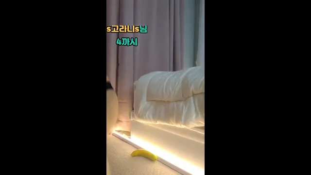 图片[1] - [Korean BJ] minppp000 2025-09-26 - KBJFan