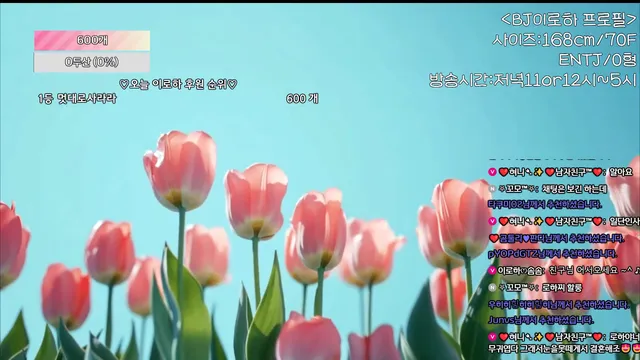 [Korean BJ] hfpw4i19 2025-07-04 - KBJFan