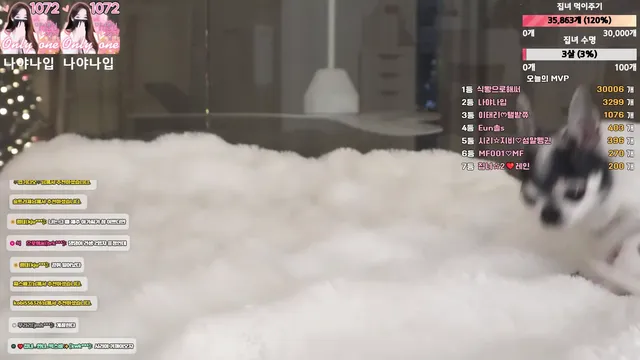 [Korean BJ] homegirl 2026-01-05 - KBJFan