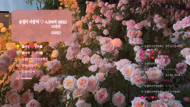 图片[1] - [Korean BJ] yourare 2025-02-21 - KBJFan