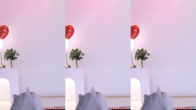 图片[12] - [Korean BJ] bo1004 2024-12-16 - KBJFan