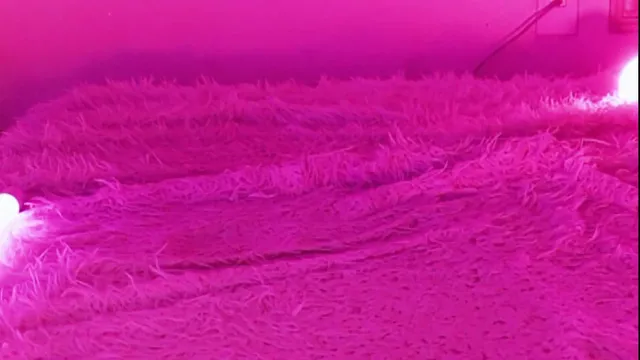 图片[6] - [Korean BJ] heenoo 2025-12-03 - KBJFan