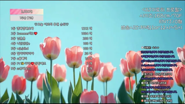 [Korean BJ] hfpw4i19 2025-07-28 - KBJFan