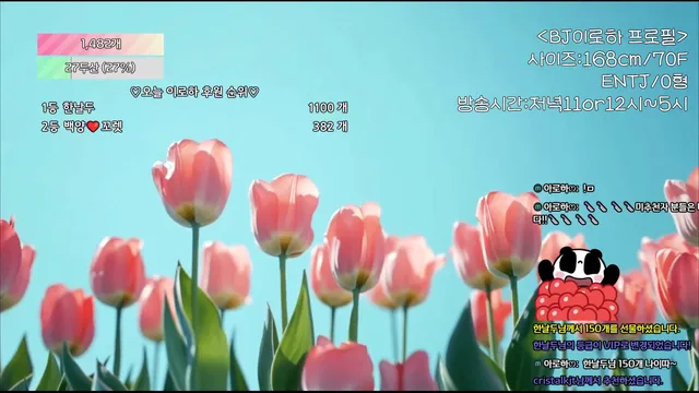 图片[5] - [Korean BJ] hfpw4i19 2025-08-16 - KBJFan