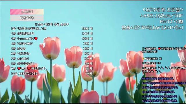 图片[5] - [Korean BJ] hfpw4i19 2025-07-28 - KBJFan