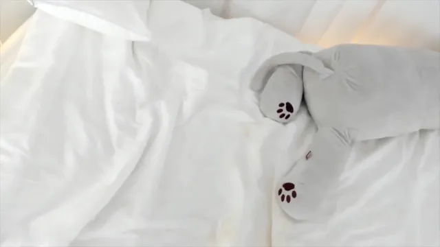 图片[8] - [Korean BJ] ohhanna 2023-11-30 - KBJFan