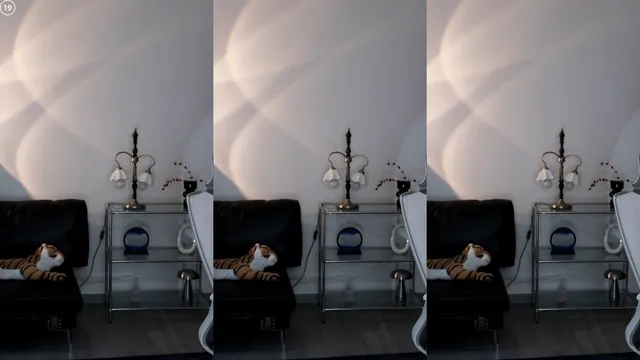 [Korean BJ] bumzi98 2025-06-26