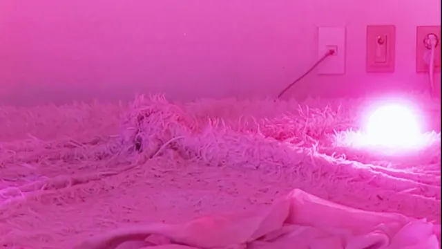 图片[4] - [Korean BJ] heenoo 2026-01-04 - KBJFan