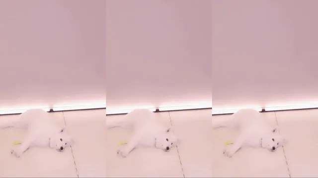 图片[2] - [Korean BJ] zmalqp6666 2025-07-04 - KBJFan