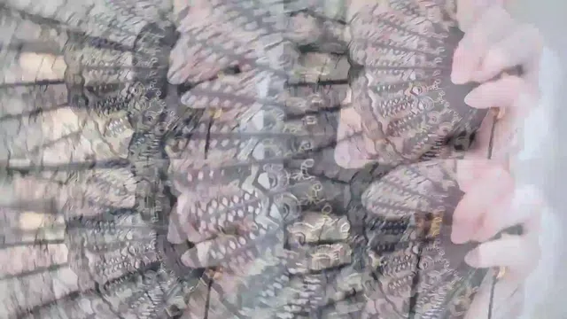 图片[7] - [Korean BJ] qwas33 2024-09-22 - KBJFan