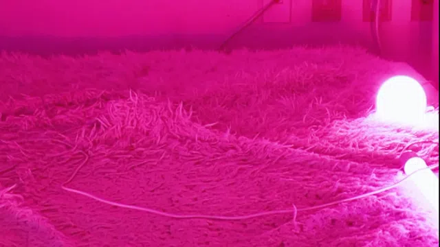 图片[7] - [Korean BJ] heenoo 2026-02-16 - KBJFan