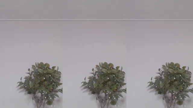 图片[7] - [Korean BJ] dmsdms1247 2023-10-09 - KBJFan