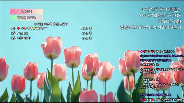 图片[7] - [Korean BJ] hfpw4i19 2025-07-24 - KBJFan